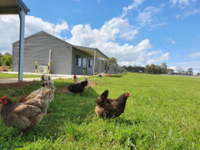 Wilkens Estate Farmstay- Country experience with modern conveniences, cooling, heating, free WIFI and pet friendly